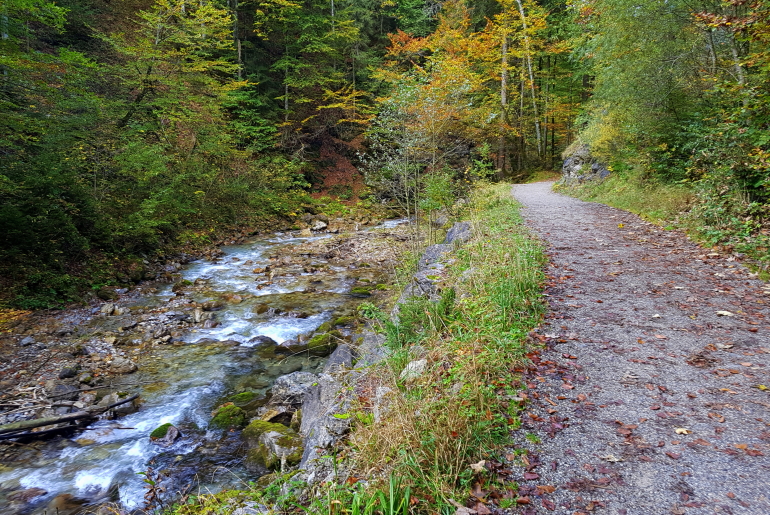 Hohenadlweg