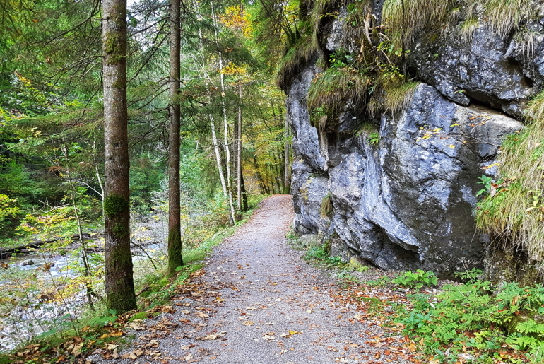 Hohenadlweg