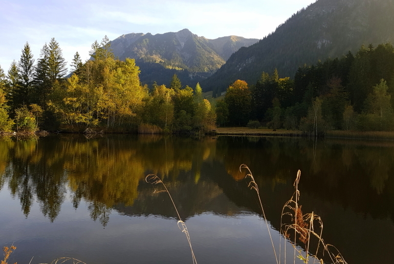 Moorweiher