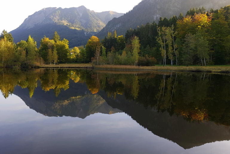 Moorweiher